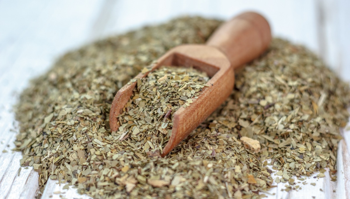 yerba mate